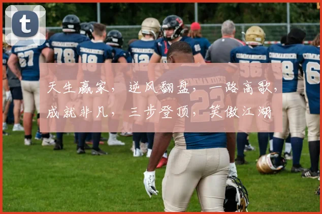 天生赢家，逆风翻盘，一路高歌，成就非凡，三步登顶，笑傲江湖