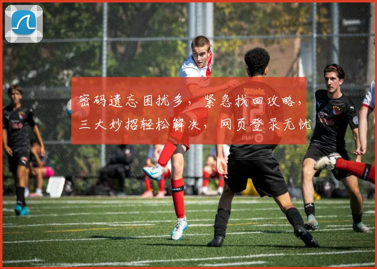 密码遗忘困扰多，紧急找回攻略，三大妙招轻松解决，网页登录无忧，一网打尽