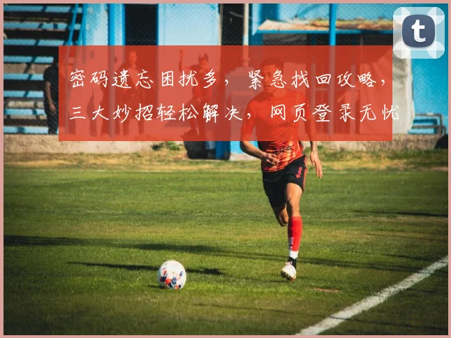 密码遗忘困扰多，紧急找回攻略，三大妙招轻松解决，网页登录无忧，一网打尽